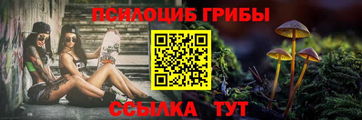 Галлюциногенные грибы GOLDEN TEACHER  Вход с VPN  Галлюциногенные грибы мицелий  Новомосковск 